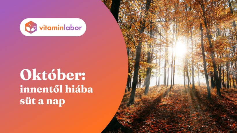 Október: innentől hiába süt a nap – őszi erdő, alacsonyan sütő nap a lombos fák között, a VitaminLabor logójával